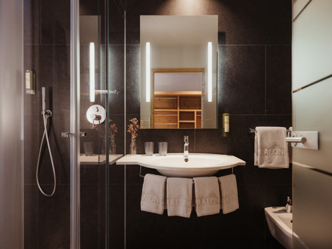 Dolomites Group Room image 5