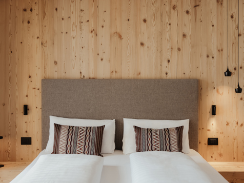 Dolomites Panorama Room image 5
