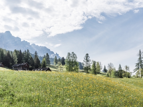 DOLOMITI IN MANSARDA - CAMERA MATRI. DELUXE,BALCO. image 5