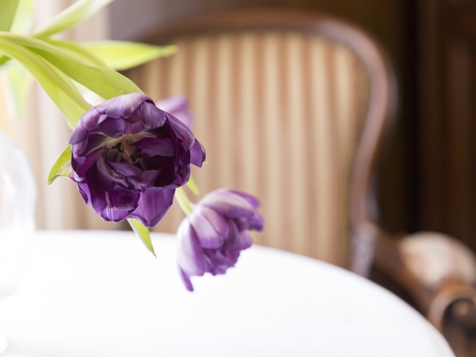 Doppelzimmer Elegance mit Balkon-4