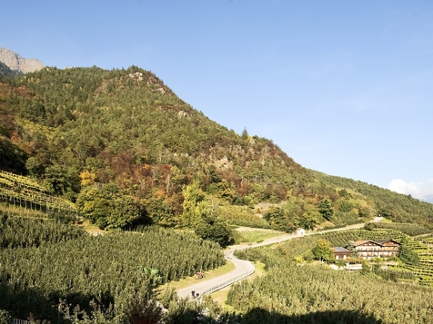 Doppelzimmer Komfort Rosenduft image 2