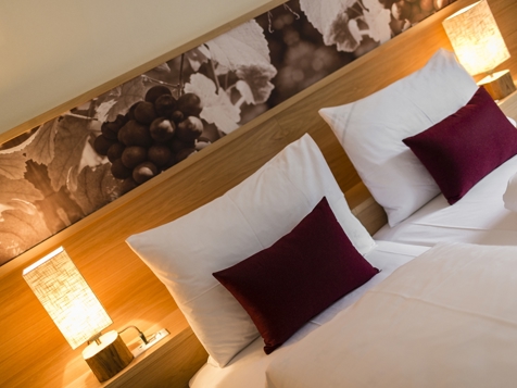 Doppelzimmer "Lagrein" image 4