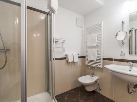 Double Room Alpen (using for single) image 1