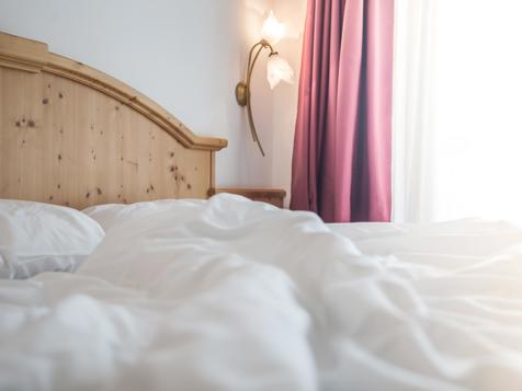 Double Room Alpen (using for single) image 4