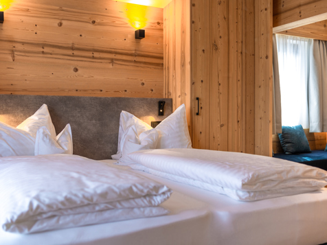 Double room Deluxe ALtru image 15
