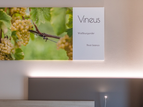 Double room pinot blanc image 1