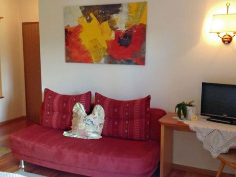 Double room standard Kirchsteiger image 3