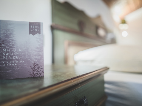 Double room - Tyrolean Style image 4
