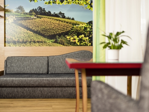 Double room "Vinum" image 7
