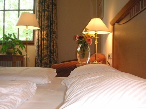 Double room with view to the lake image 2