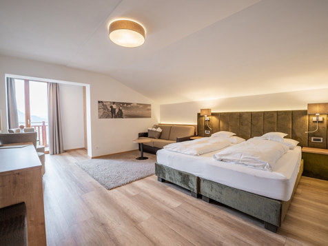DREIBETTZIMMER MIT SÜD/WESTBALKON image 1