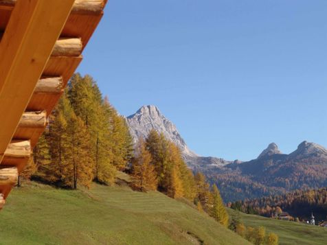 Dreizimmer-Wohnung EMOZIUN image 5