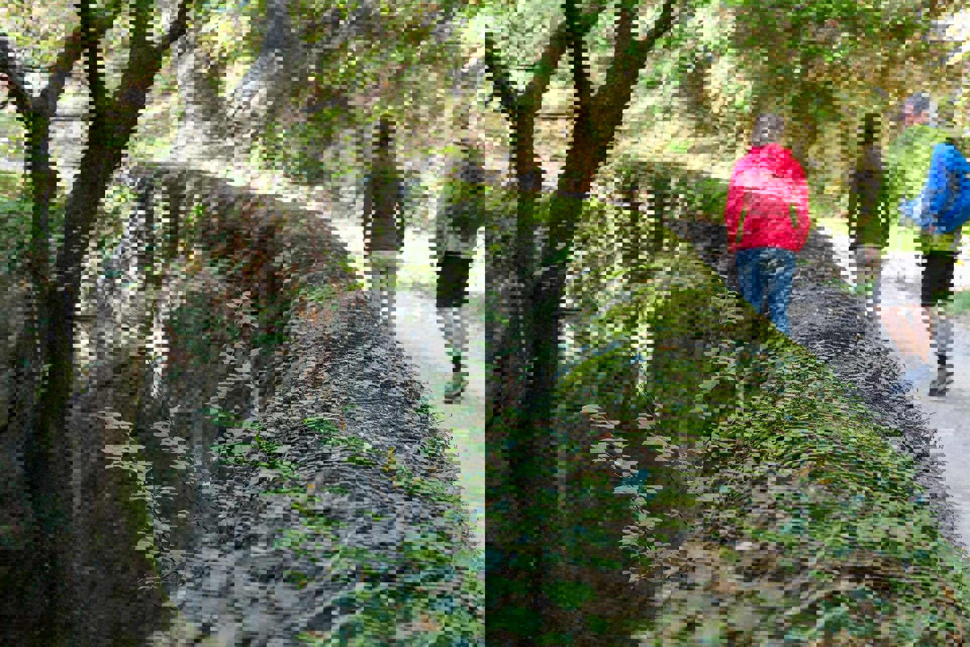 Dürerweg Dürerweg