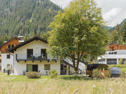 Edelweiß (Stella alpina) image 50