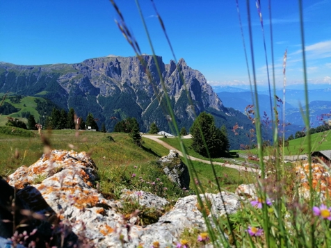 Schlern