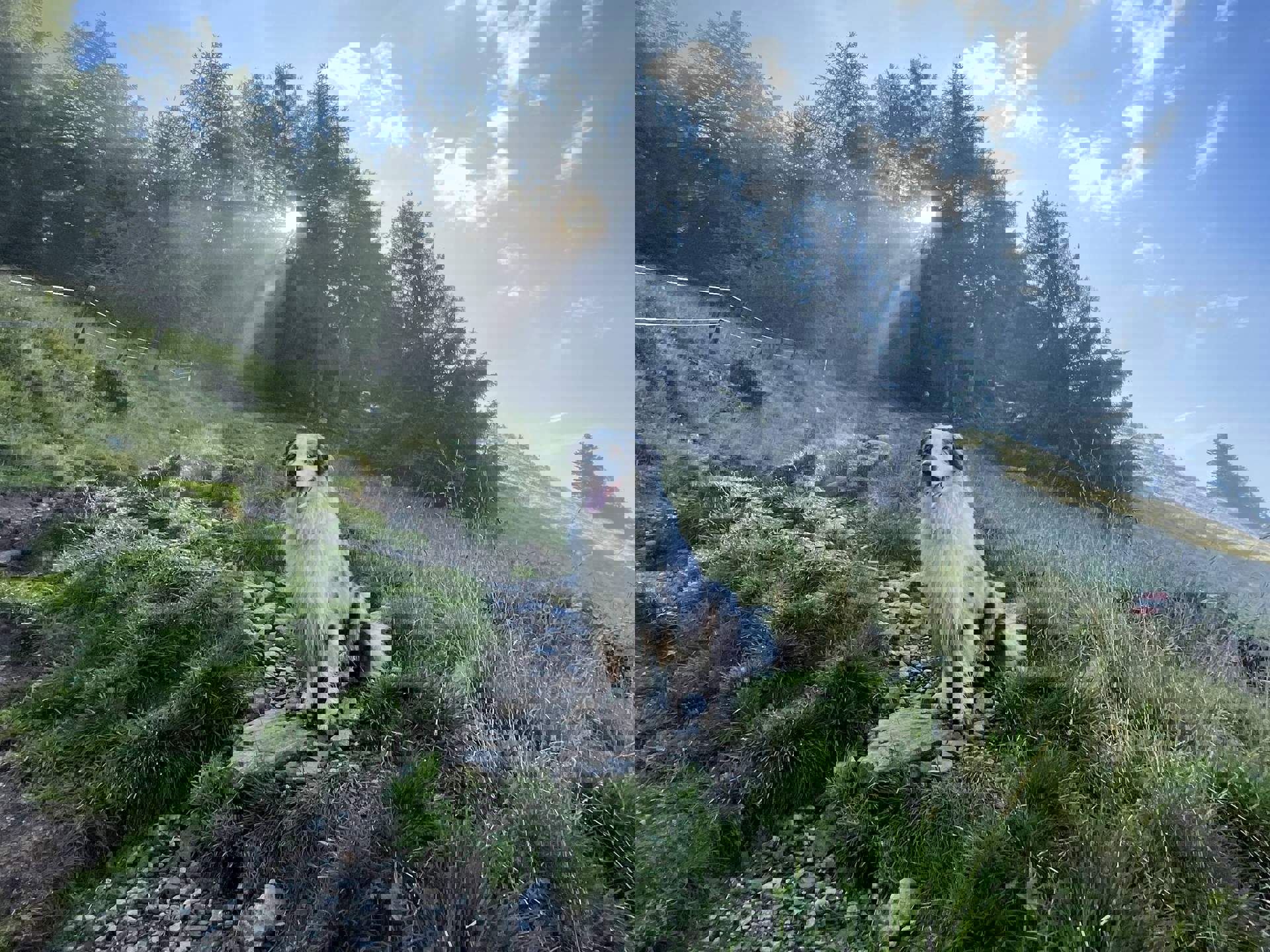 Escursioni con il cane in Alto Adige. Escursioni con il cane in Alto Adige.
