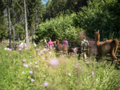 Kindersommer in Lana und Umgebung