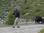 Transumanza degli Yak