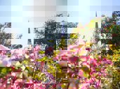 Gardenflair Lagundo