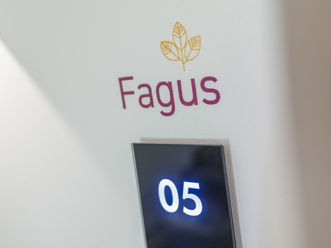 FAGUS image 14