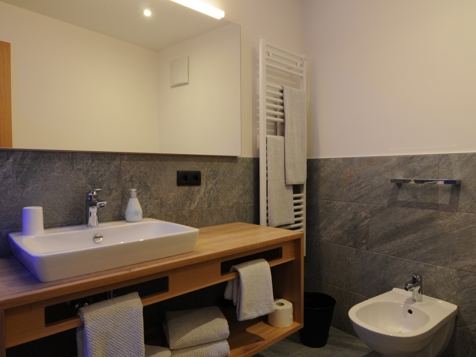 Family Alpin Suite (47m²) image 3