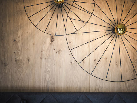 Fanes Family image 7