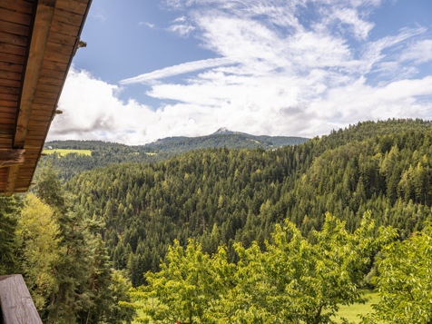 Ferienwohnung Latemar image 12