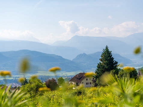 Ferienwohnung Sonnenblume image 14