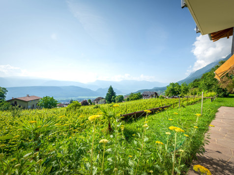 Ferienwohnung Sonnenblume image 15