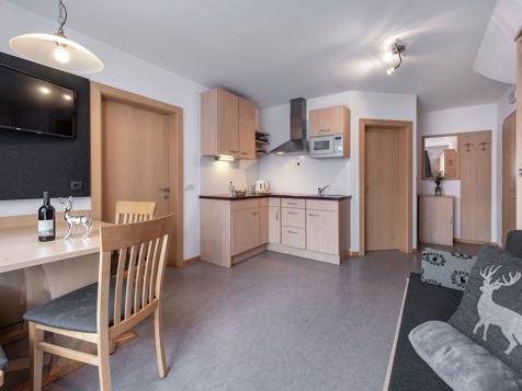 FERIENWOHNUNG SPEIKBODEN image 4