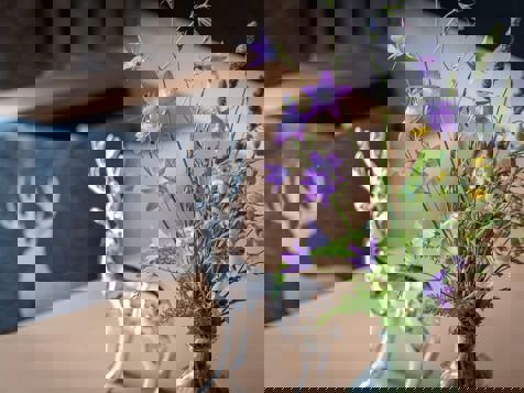 FERIENWOHNUNG SPEIKBODEN image 9