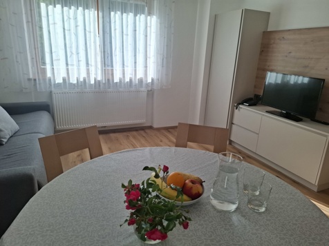 FERIENWOHNUNG TYP A image 4