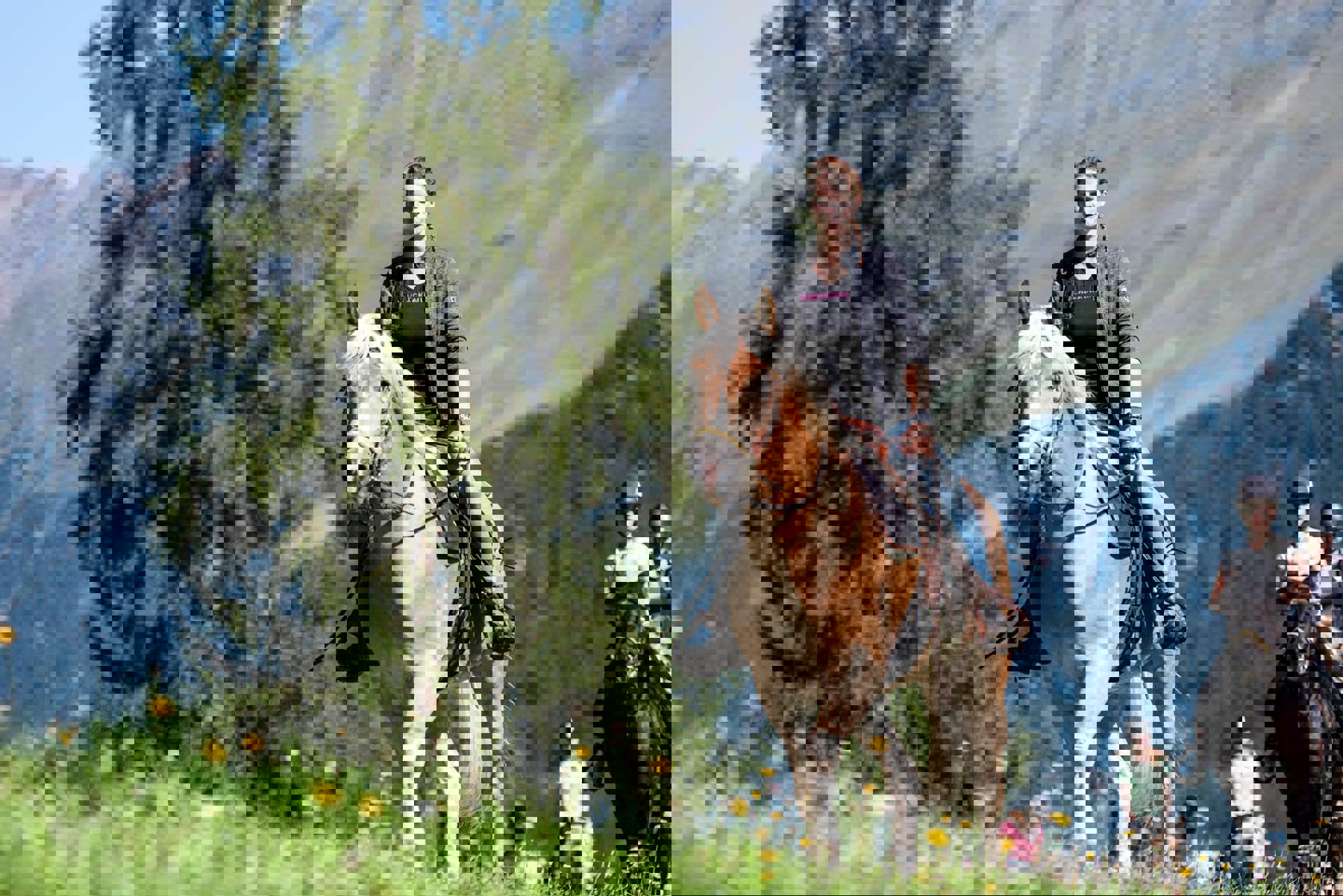 Frau reitet auf Haflinger im Eisacktal Frau reitet auf Haflinger im Eisacktal
