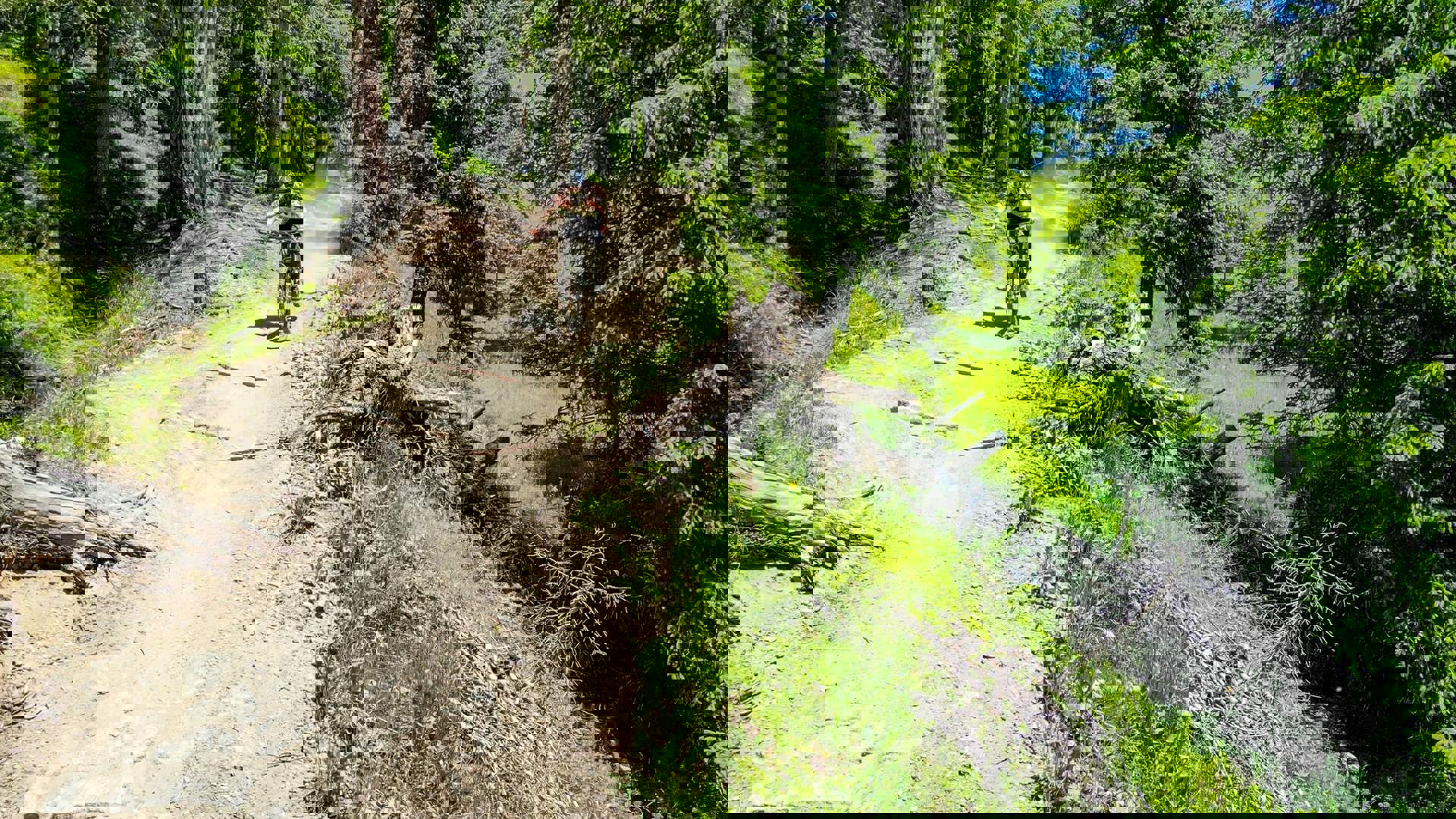 Freeride & Downhill in South Tyrol Freeride & Downhill in South Tyrol