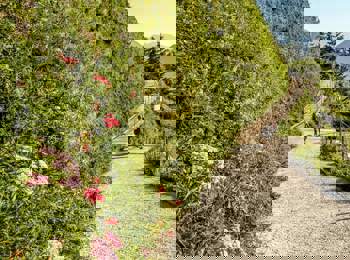 Gardens of Trauttmansdorff Castle