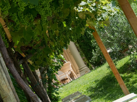 Gartenwohnung "Pergola" Talblick image 2