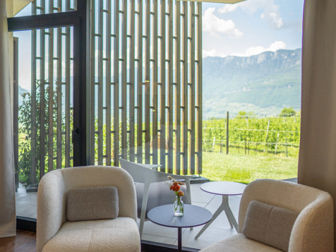 Gartenzimmer zum Weinberg - 30 m² - Erdgeschoß image 4
