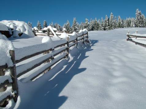 Glitzernde Schneelandschaft in Mölten
