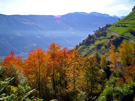 Goldener Herbst - Camping Stellplätze 14 Tage