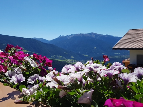 Großes Doppelzimmer 101mit Kirch- Panoramablick image 9