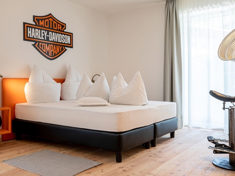 Harley Davidson image 1