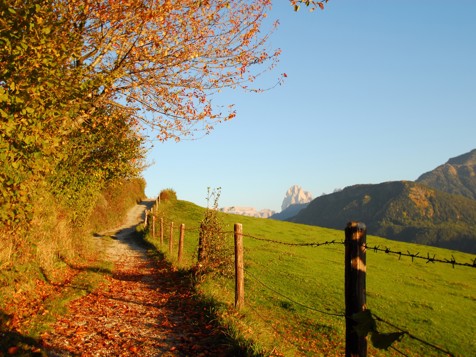 Herbst in Feldthurns