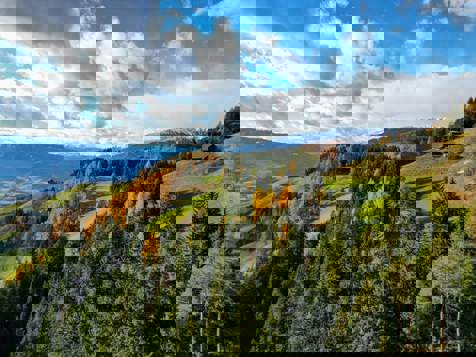 Herbstlandschaft in Percha