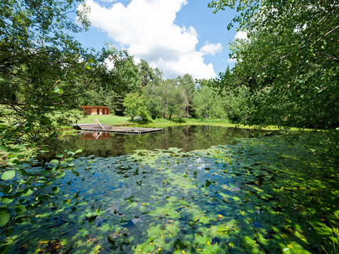 Hochzeits Suite mit Waldblick image 4