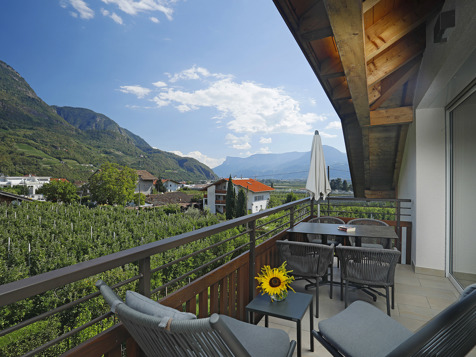 Holiday apartment "Sonne" image 12