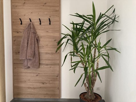 HOLIDAY FLAT “ALPIN” image 14