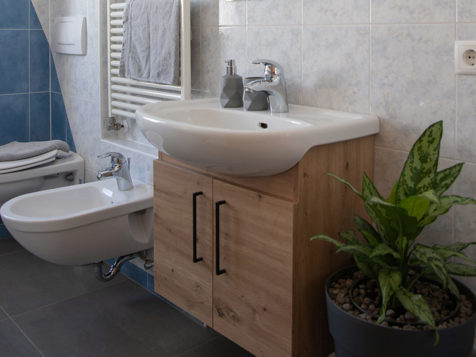 HOLIDAY FLAT “ALPIN” image 3