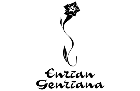 Hotel Enzian Logo