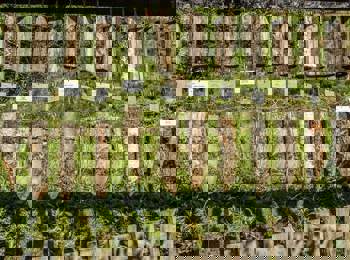 I Giardini di Castel Trauttmansdorff