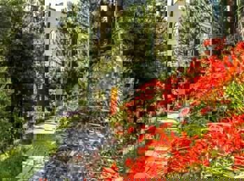 I Giardini di Castel Trauttmansdorff